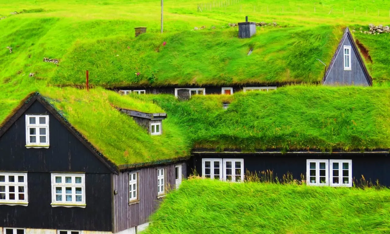 Green Roofs