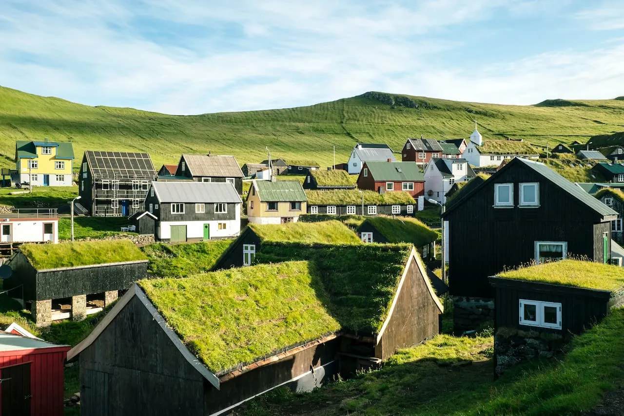 Green roofs, a fascinating trend in roofing
